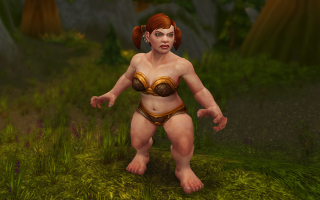 Illustration for article titled World of Warcraft's Revamped Dwarf Female: No Beards